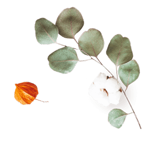 https://grecia-bella.click/wp-content/uploads/2020/10/floating_image_07.png