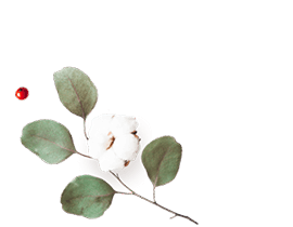 floating_image_flower_01 https://grecia-bella.click/wp-content/uploads/2020/12/floating_image_flower_01.png