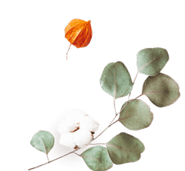 floating_image_flower_02 https://grecia-bella.click/wp-content/uploads/2020/12/floating_image_flower_02.png