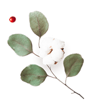 https://grecia-bella.click/wp-content/uploads/2020/12/floating_image_flower_03.png