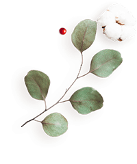 https://grecia-bella.click/wp-content/uploads/2020/12/floating_image_flower_04.png